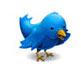 twitter twitter