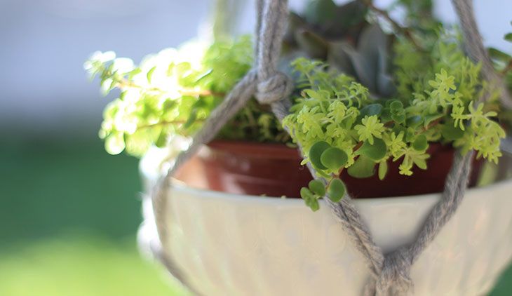 D.I.Y: suporte de macramê para as plantinhas