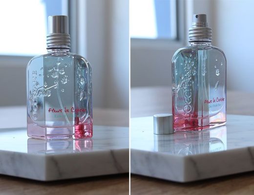 flor de cerejeira fresh