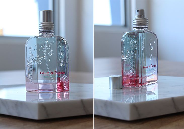 flor de cerejeira fresh