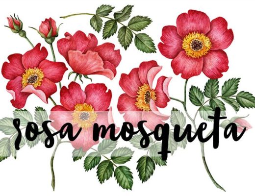 óleo de rosa mosqueta