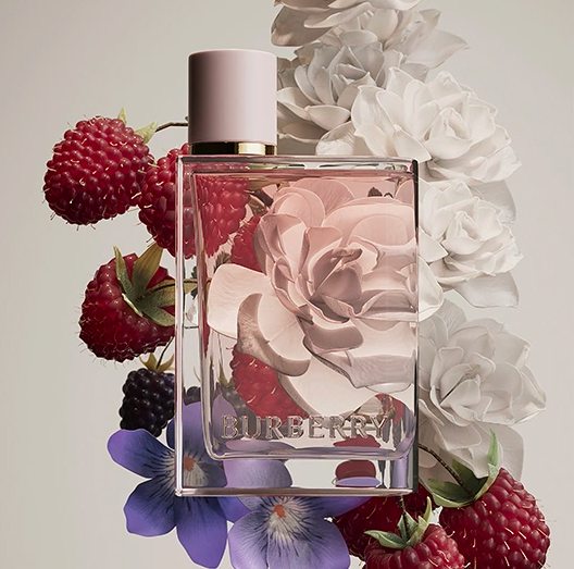 burberry her notas