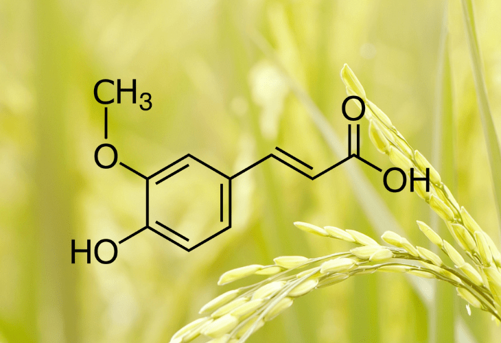 Ácido ferúlico: o que é, pra quê serve e dicas de produtos!