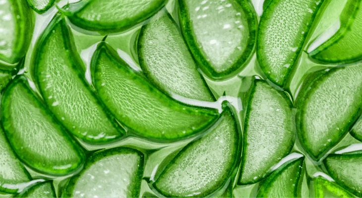 gel de aloe vera